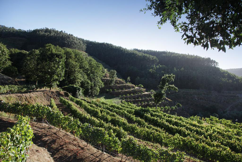 Encosta Dos Tuneis - Turismo E Lazer Sever do Vouga Buitenkant foto
